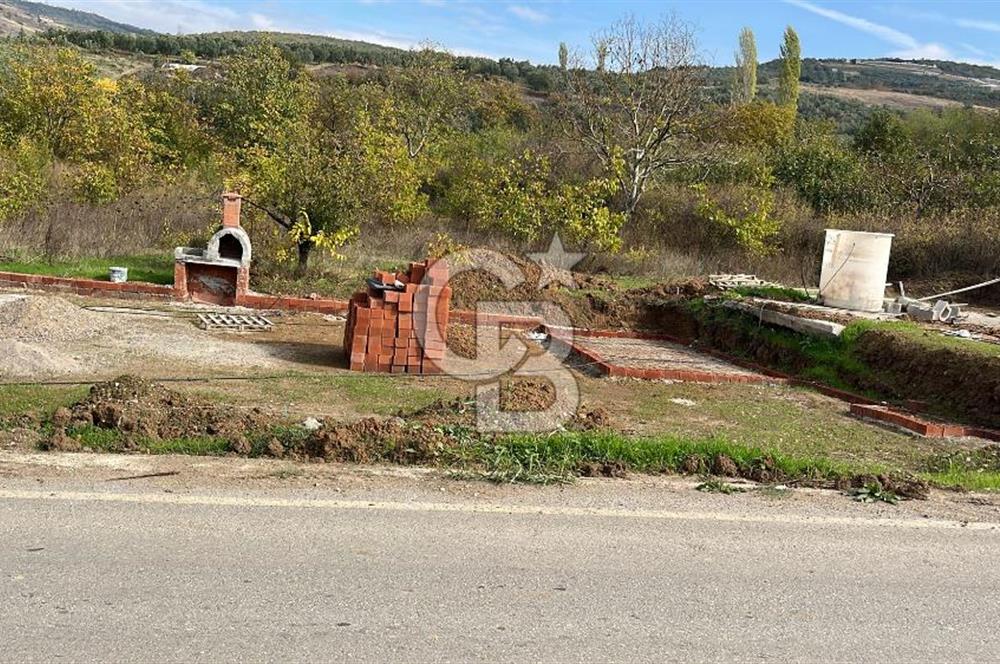 BURSA İZNİK TACİR'DE 33 M YOLA CEPHELİ İMARA YAKIN YAPILAŞMAYA UYGUN BAĞ