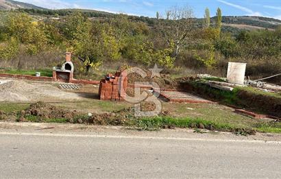 BURSA İZNİK TACİR'DE 33 M YOLA CEPHELİ İMARA YAKIN YAPILAŞMAYA UYGUN BAĞ