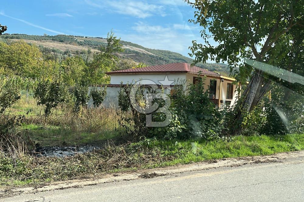 BURSA İZNİK TACİR'DE 33 M YOLA CEPHELİ İMARA YAKIN YAPILAŞMAYA UYGUN BAĞ