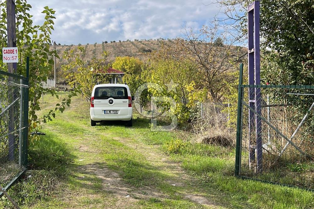 BURSA İZNİK TACİR'DE 33 M YOLA CEPHELİ İMARA YAKIN YAPILAŞMAYA UYGUN BAĞ