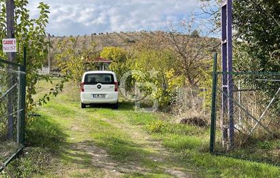 BURSA İZNİK TACİR'DE 33 M YOLA CEPHELİ İMARA YAKIN YAPILAŞMAYA UYGUN BAĞ