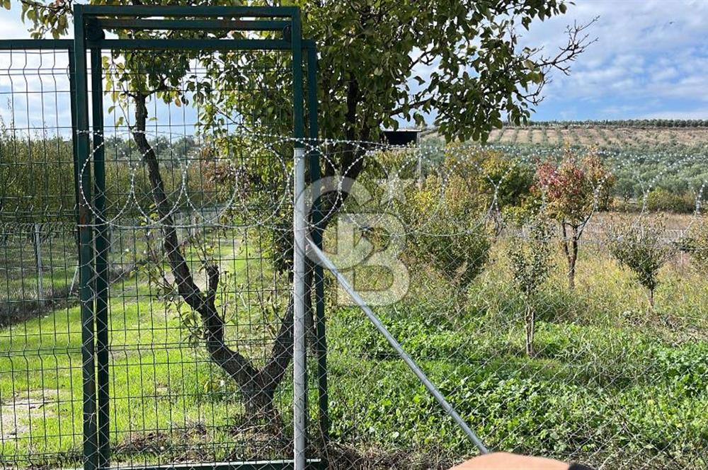 BURSA İZNİK TACİR'DE 33 M YOLA CEPHELİ İMARA YAKIN YAPILAŞMAYA UYGUN BAĞ