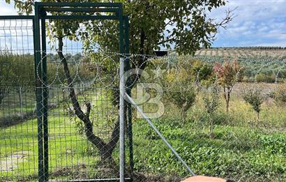 BURSA İZNİK TACİR'DE 33 M YOLA CEPHELİ İMARA YAKIN YAPILAŞMAYA UYGUN BAĞ