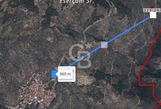 Bayındır Zeytinlik 1495 m2
