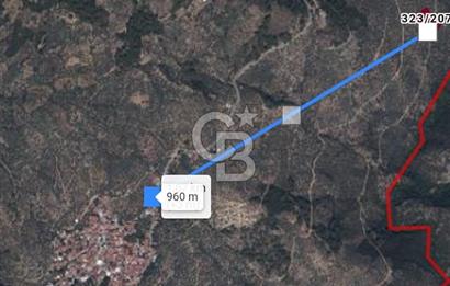 Bayındır Zeytinlik 1495 m2