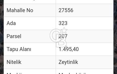 Bayındır Zeytinlik 1495 m2