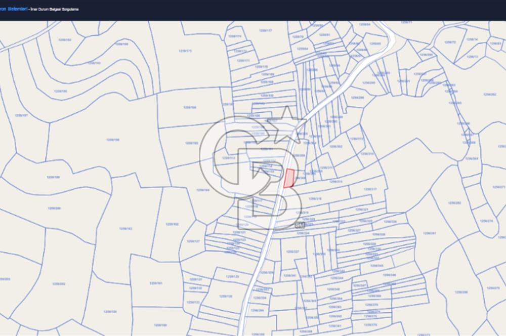 BURSA İZNİK TACİR'DE 33 M YOLA CEPHELİ İMARA YAKIN YAPILAŞMAYA UYGUN BAĞ