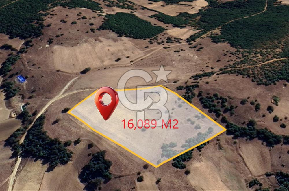 BALIKESİR SINDIRGI KINIK MAHALLESİ 16,089M2 YOLU OLAN TARLA