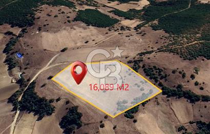 BALIKESİR SINDIRGI KINIK MAHALLESİ 16,089M2 YOLU OLAN TARLA