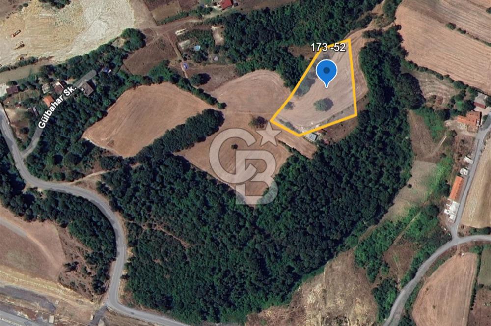 Satılık Tarla 5.791 m2, Arnavutköy Tayakadın'da Yatırım Fırsatı!