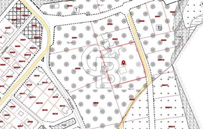 İST Çatalca Yalıköyde Denize 150 mt Satılık Villalık Arsa Coldwell Batı 06.40