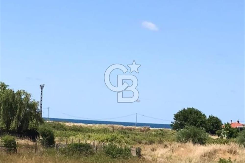 İST Çatalca Yalıköyde Denize 150 mt Satılık Villalık Arsa Coldwell Batı 06.40