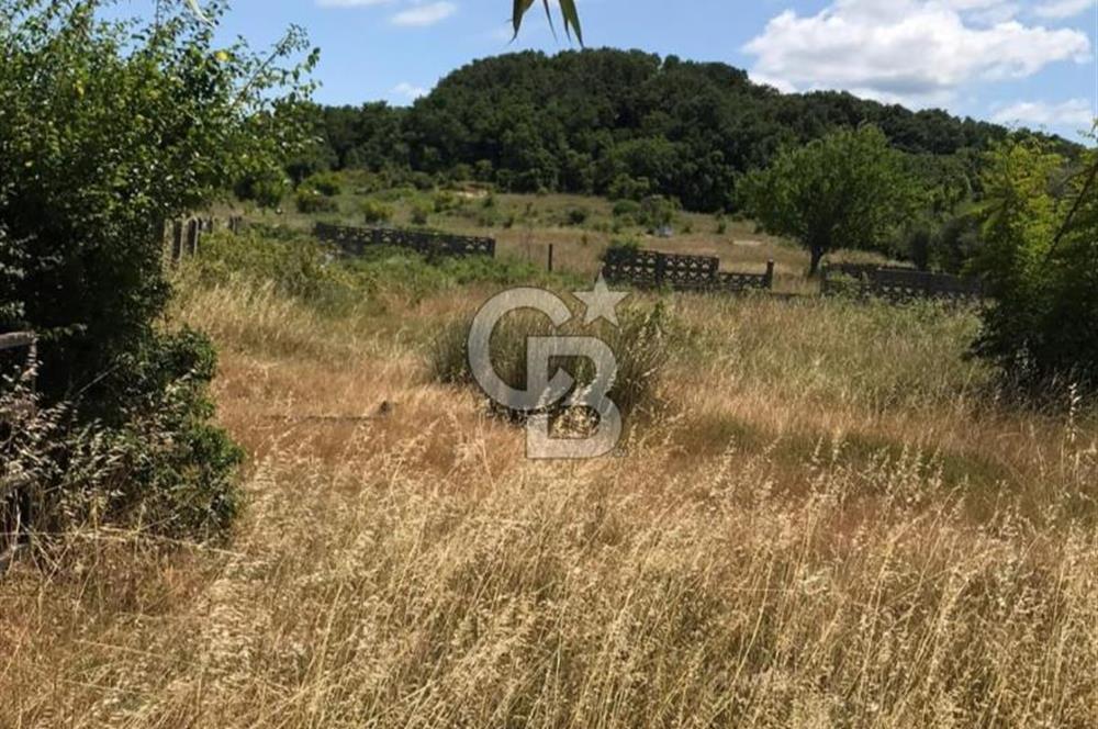 İST Çatalca Yalıköyde Denize 150 mt Satılık Villalık Arsa Coldwell Batı 06.40