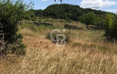 İST Çatalca Yalıköyde Denize 150 mt Satılık Villalık Arsa Coldwell Batı 06.40