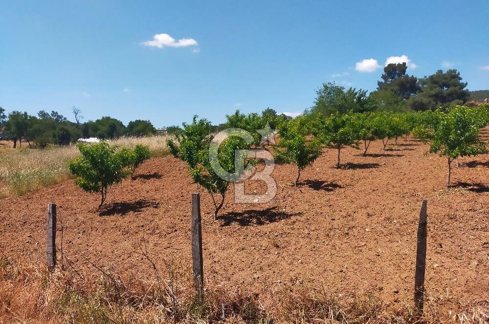 BAYRAMİÇ MOLLAHANLAR DA SATILIK KÖY EVİ