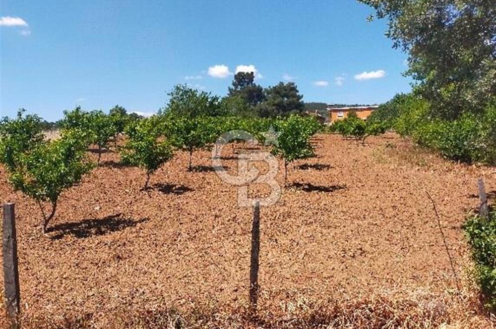 BAYRAMİÇ MOLLAHANLAR DA SATILIK KÖY EVİ