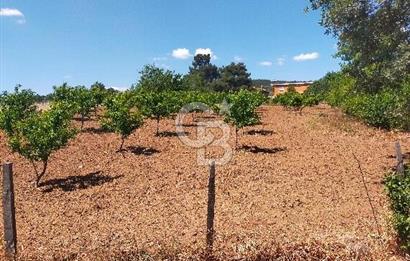 BAYRAMİÇ MOLLAHANLAR DA SATILIK KÖY EVİ