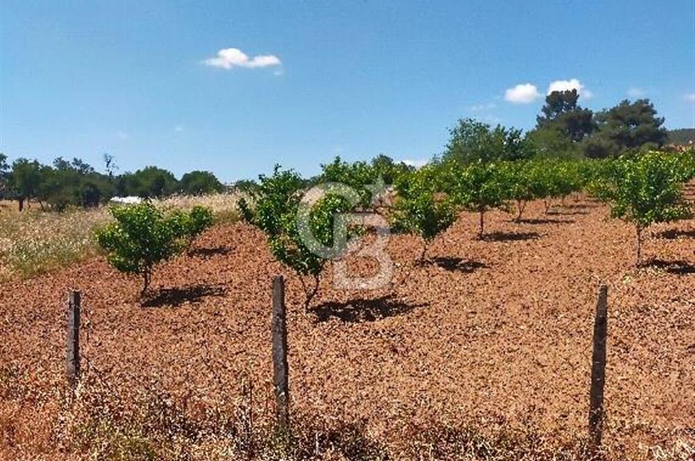 BAYRAMİÇ MOLLAHANLAR DA SATILIK KÖY EVİ