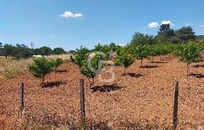 BAYRAMİÇ MOLLAHANLAR DA SATILIK KÖY EVİ