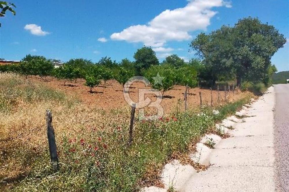 BAYRAMİÇ MOLLAHANLAR DA SATILIK KÖY EVİ