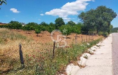 BAYRAMİÇ MOLLAHANLAR DA SATILIK KÖY EVİ