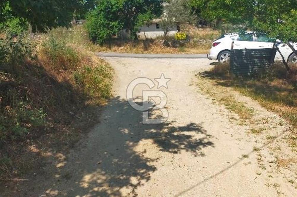 BAYRAMİÇ MOLLAHANLAR DA SATILIK KÖY EVİ