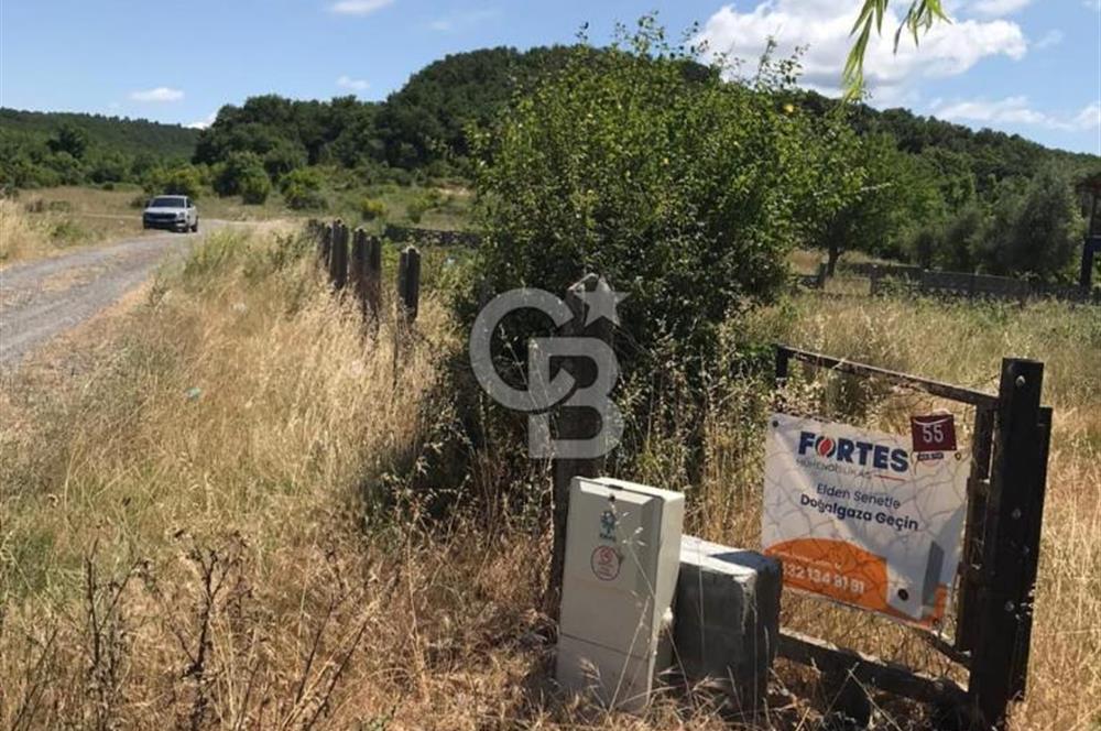 İST Çatalca Yalıköyde Denize 150 mt Satılık Villalık Arsa Coldwell Batı 06.40