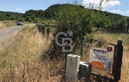 İST Çatalca Yalıköyde Denize 150 mt Satılık Villalık Arsa Coldwell Batı 06.40