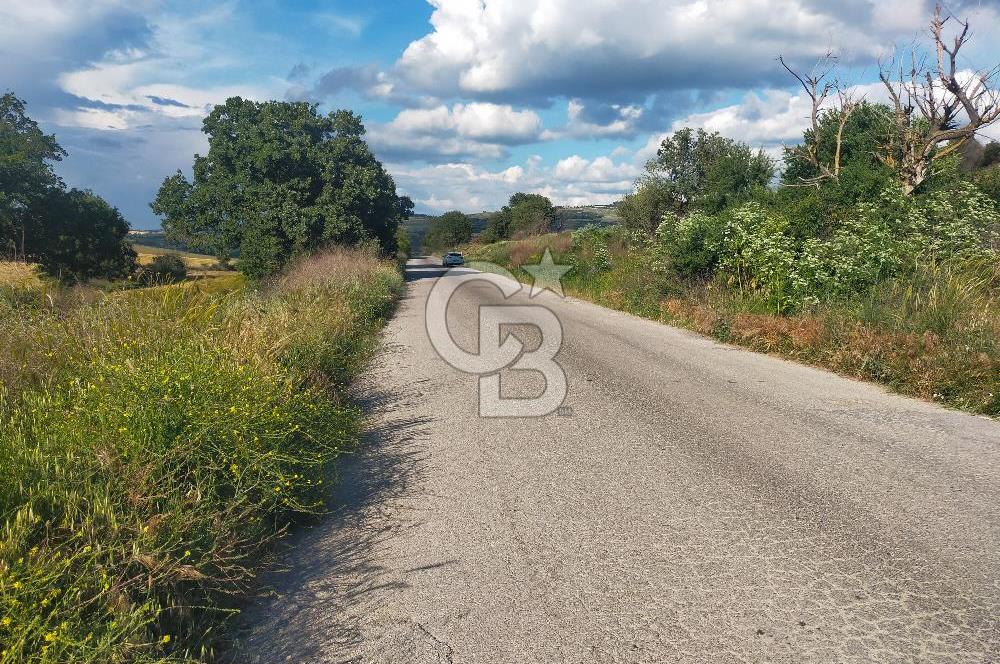 MERKEZ KEMEL DE ASVALTA SIFIR TARLA