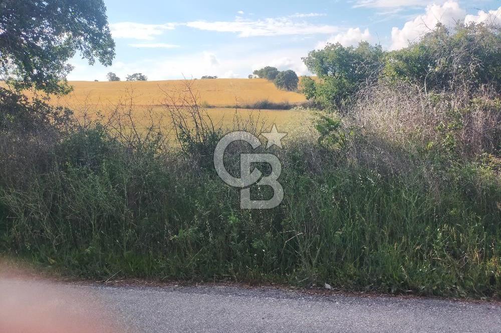 MERKEZ KEMEL DE ASVALTA SIFIR TARLA