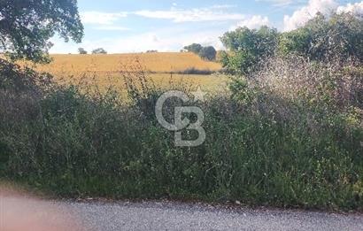 MERKEZ KEMEL DE ASVALTA SIFIR TARLA