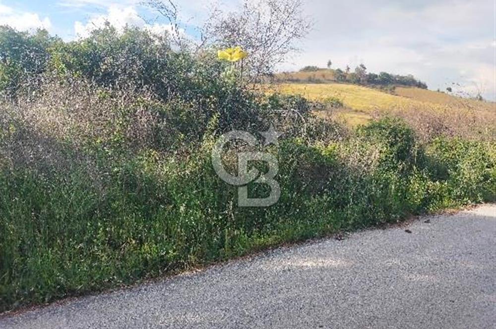 MERKEZ KEMEL DE ASVALTA SIFIR TARLA