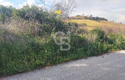 MERKEZ KEMEL DE ASVALTA SIFIR TARLA