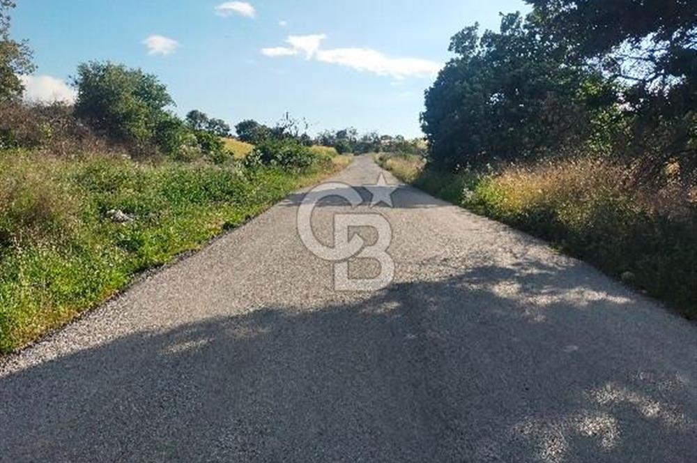 MERKEZ KEMEL DE ASVALTA SIFIR TARLA