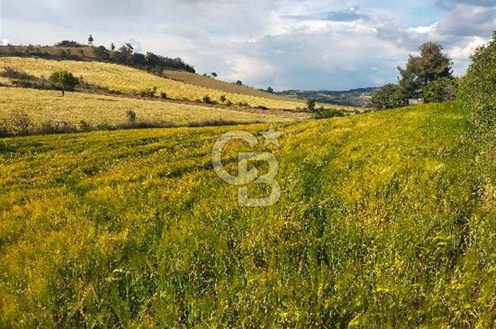MERKEZ KEMEL DE ASVALTA SIFIR TARLA