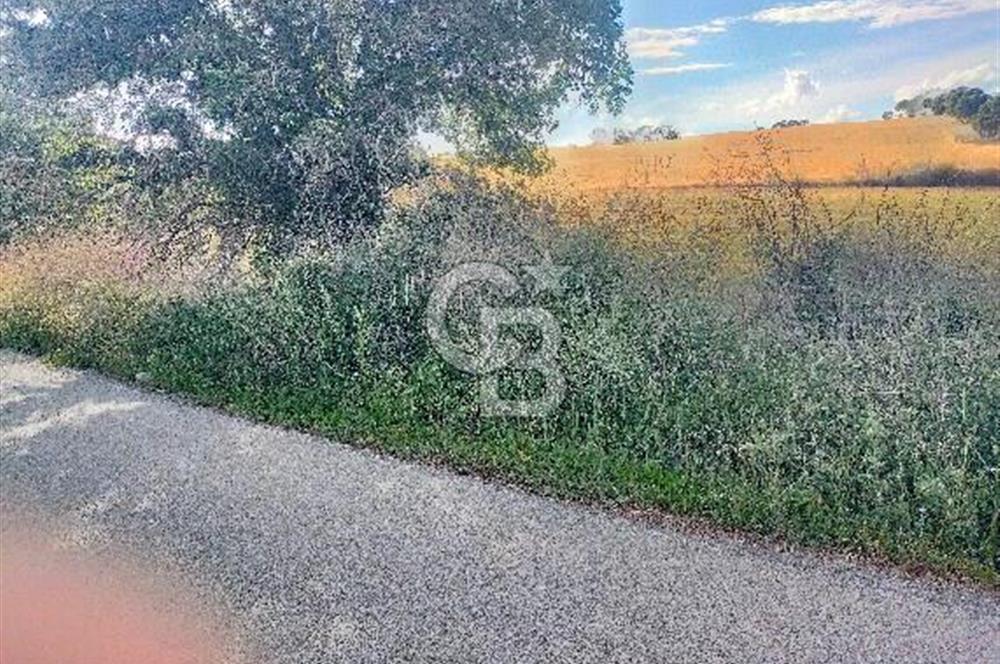 MERKEZ KEMEL DE ASVALTA SIFIR TARLA