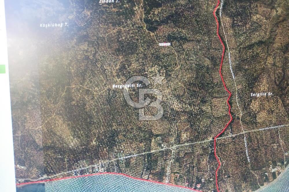 FİYAT DÜŞTÜ ÇANAKKALE AYVACIK ARIKLI DA DENİZ GÖREN ZEYTİNLİK