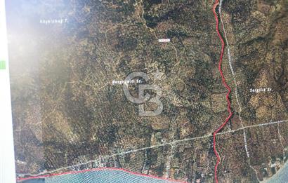 FİYAT DÜŞTÜ ÇANAKKALE AYVACIK ARIKLI DA FUUL DENİZ GÖREN ARAZİ