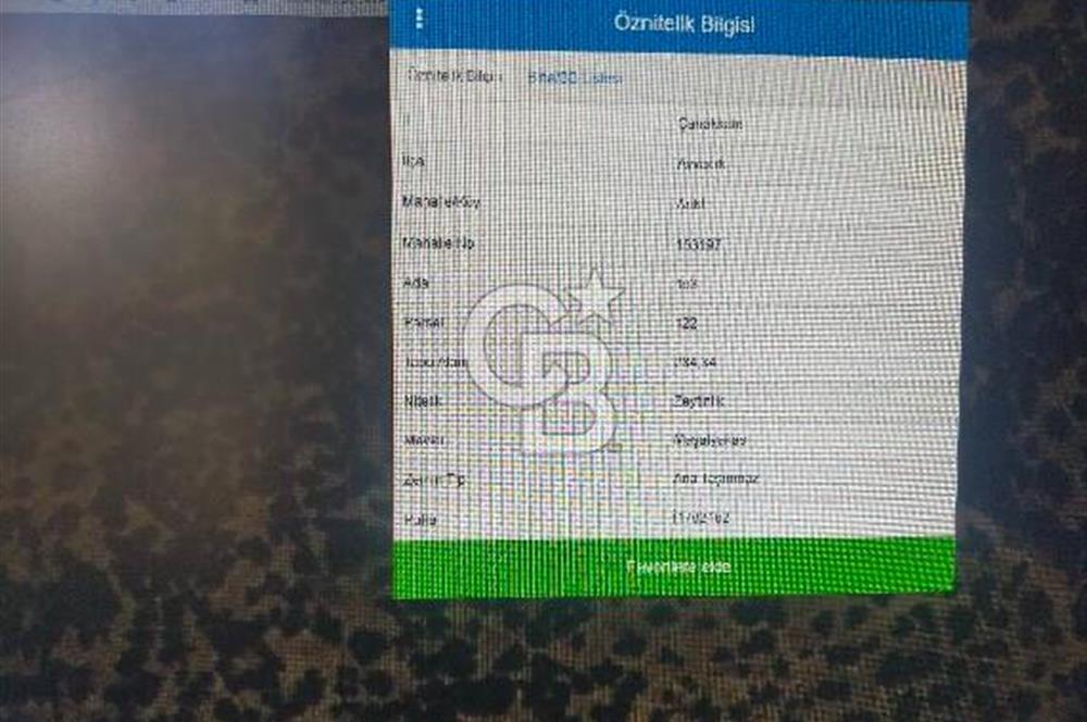 FİYAT DÜŞTÜ ÇANAKKALE AYVACIK ARIKLI DA DENİZ GÖREN ZEYTİNLİK