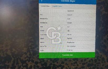FİYAT DÜŞTÜ ÇANAKKALE AYVACIK ARIKLI DA DENİZ GÖREN ZEYTİNLİK