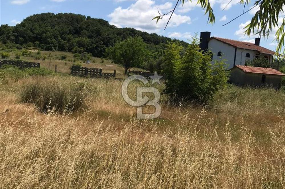 İST Çatalca Yalıköyde Denize 150 mt Satılık Villalık Arsa Coldwell Batı 06.40