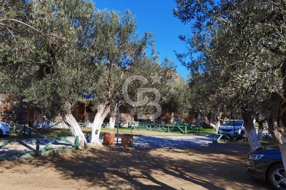ÇANAKKALE AYVACIK AHMETÇE DE DEVREN KİRALIK KAMP ALANI