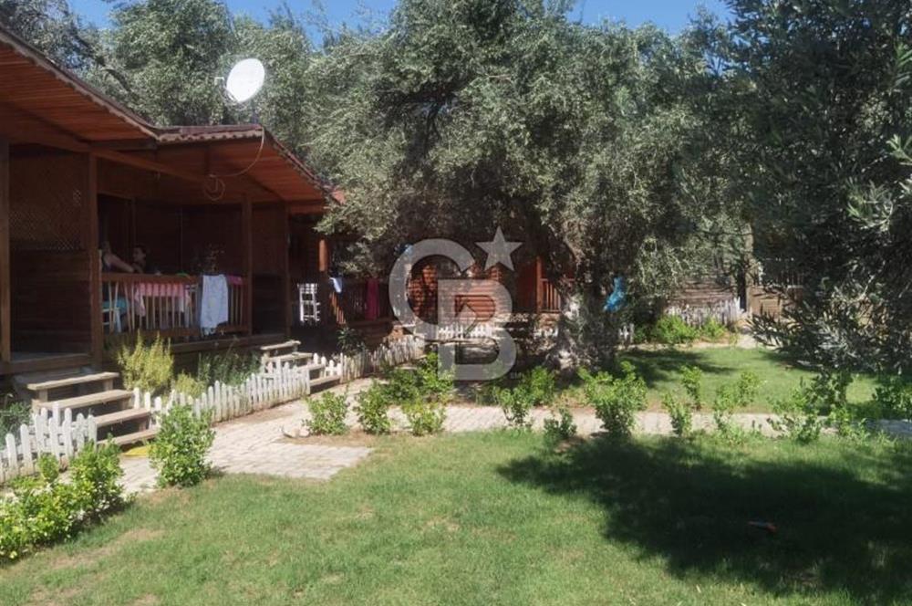 ÇANAKKALE AYVACIK AHMETÇE DE DEVREN KİRALIK KAMP ALANI