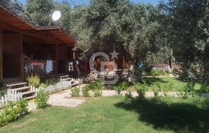 ÇANAKKALE AYVACIK AHMETÇE DE DEVREN KİRALIK KAMP ALANI