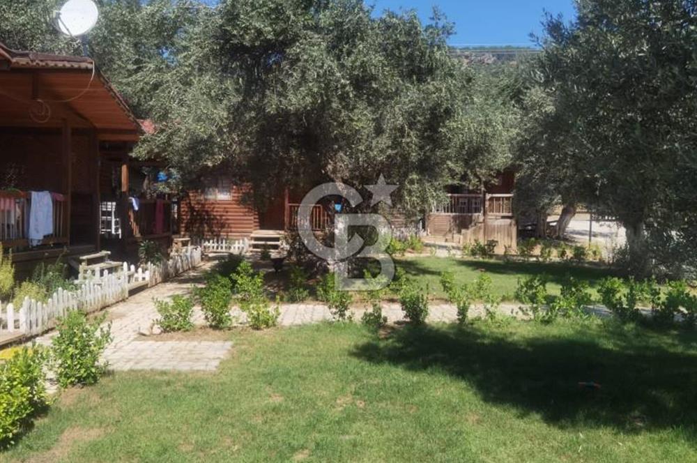 ÇANAKKALE AYVACIK AHMETÇE DE DEVREN KİRALIK KAMP ALANI