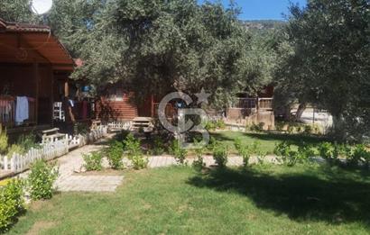 ÇANAKKALE AYVACIK AHMETÇE DE DEVREN KİRALIK KAMP ALANI
