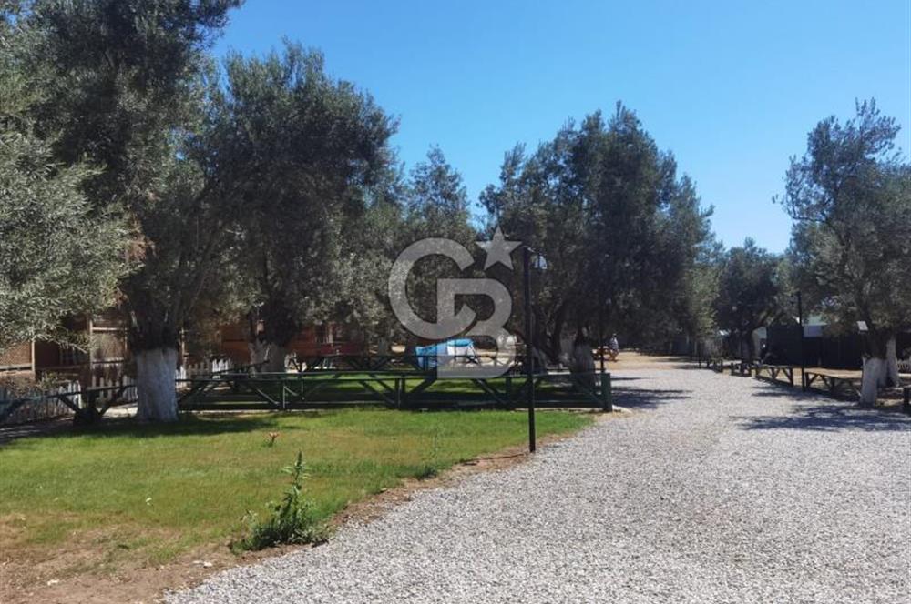ÇANAKKALE AYVACIK AHMETÇE DE DEVREN KİRALIK KAMP ALANI