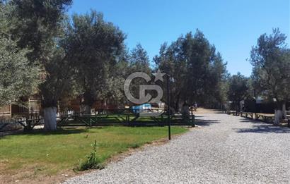 ÇANAKKALE AYVACIK AHMETÇE DE DEVREN KİRALIK KAMP ALANI