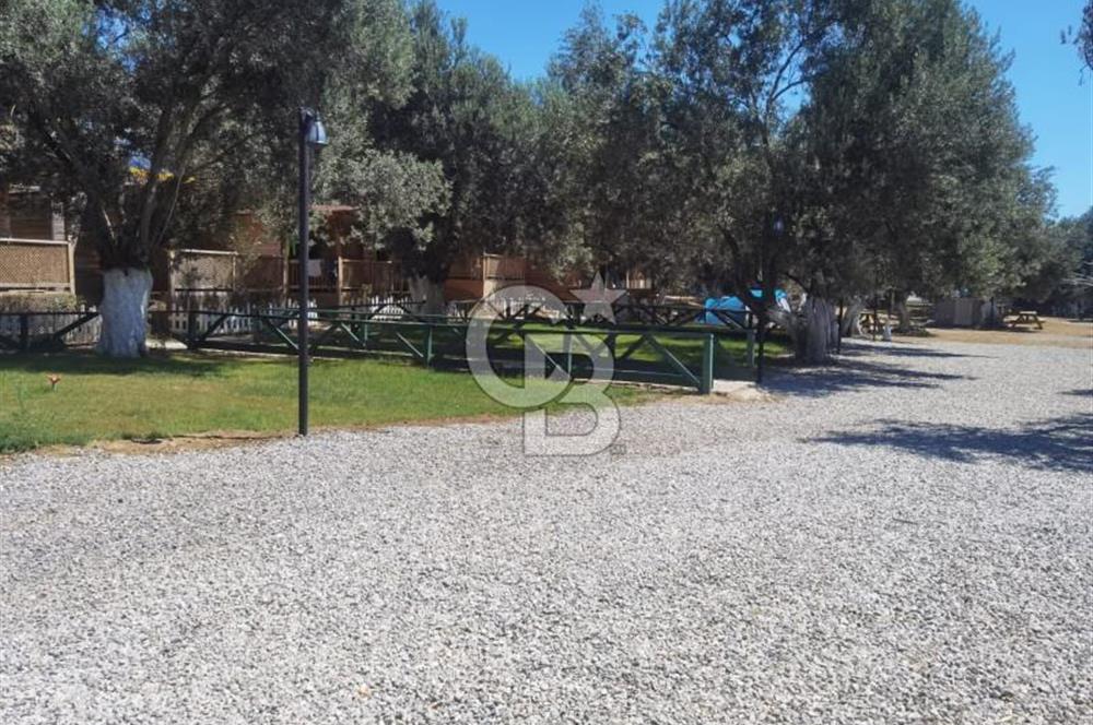 ÇANAKKALE AYVACIK AHMETÇE DE DEVREN KİRALIK KAMP ALANI