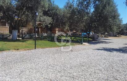 ÇANAKKALE AYVACIK AHMETÇE DE DEVREN KİRALIK KAMP ALANI